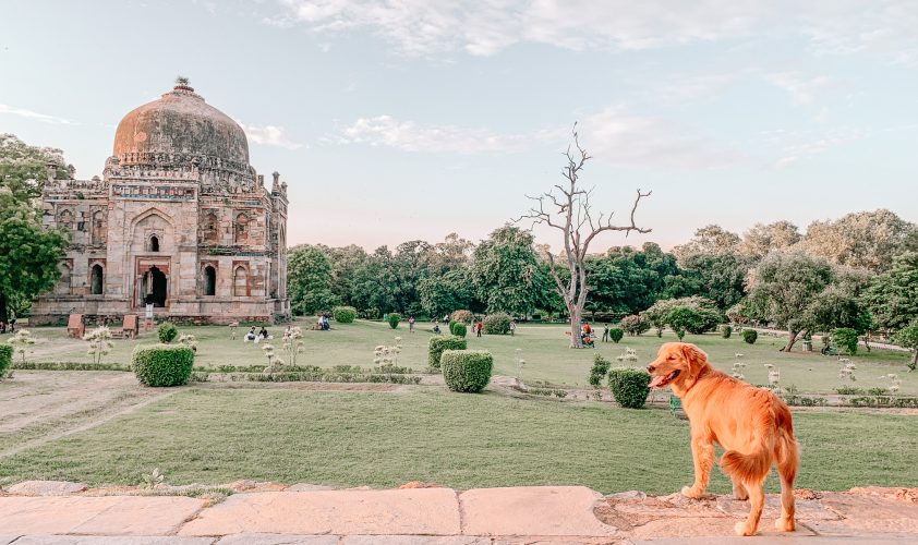 dog friendly parks in Delhi India