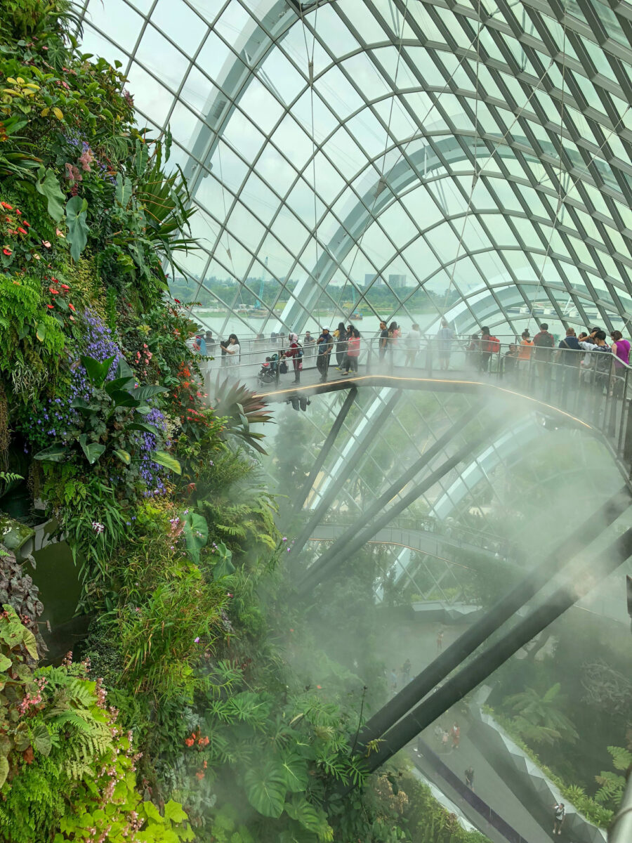 reasons to visit Singapore with kids