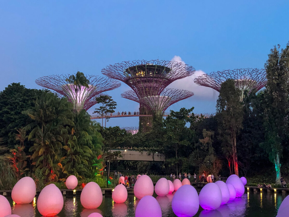 reasons to visit Singapore with kids