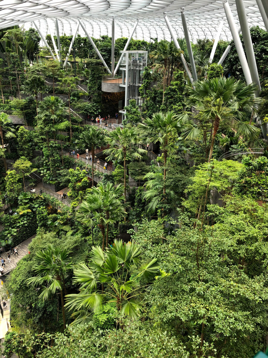 Singapore airport terminal attractions