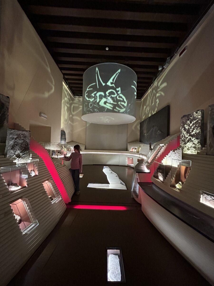 THINGS TO DO IN VENICE ITALY