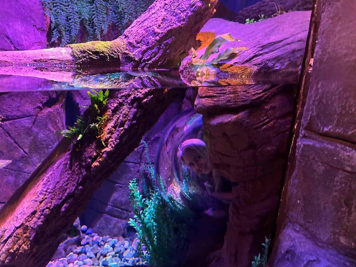Singapore to Sea Life Malaysia with kids