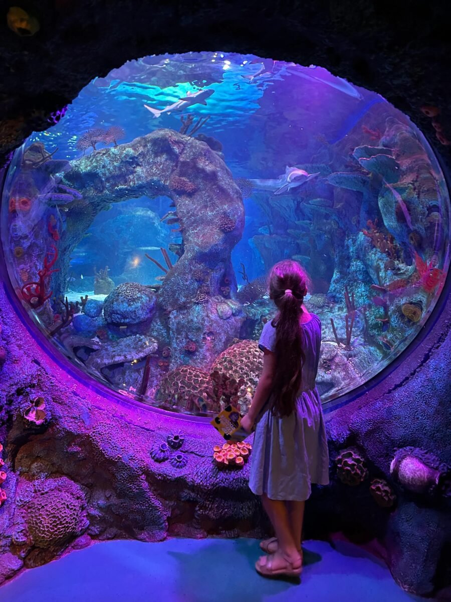 Singapore to Sea Life Malaysia