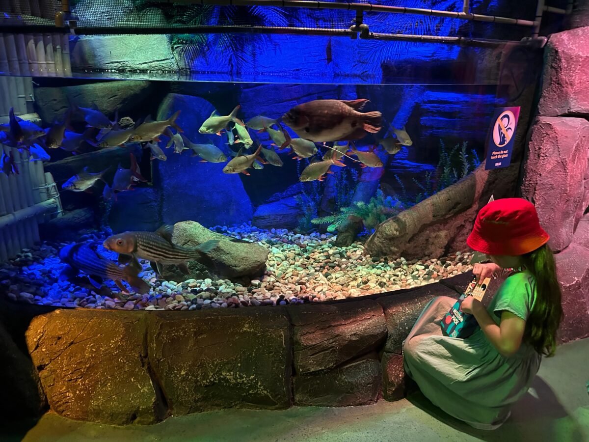 Activities for kids in SEA LIFE Malaysia