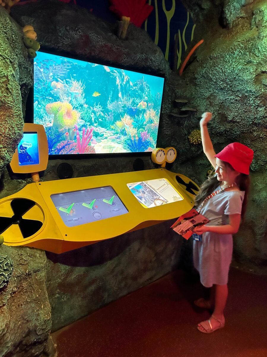 Things to do in sea life Malaysia with young kids