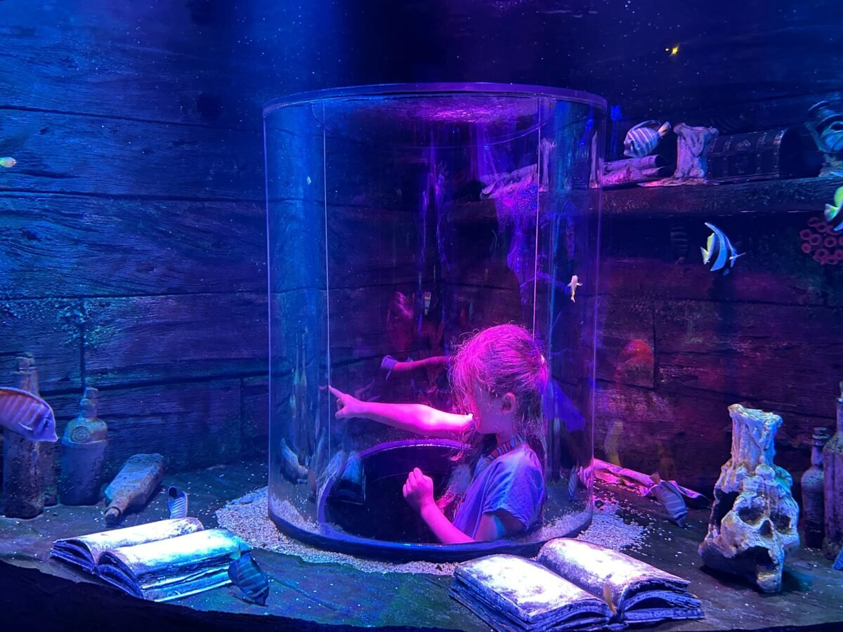 Singapore to Sea Life Malaysia